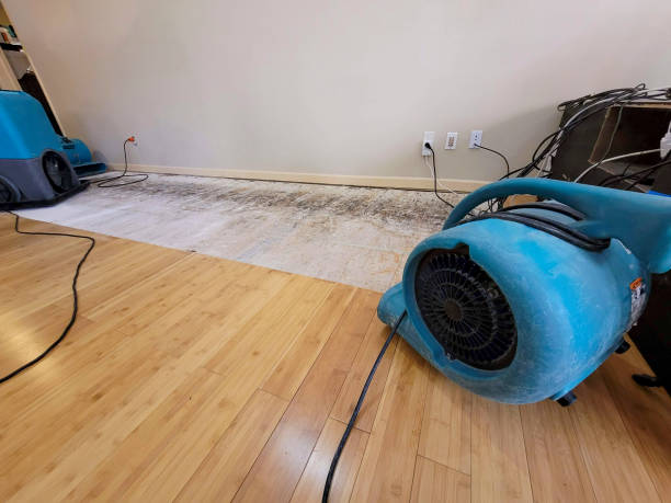 Professional Basement Flood Cleanup technician working in Bremen, IN